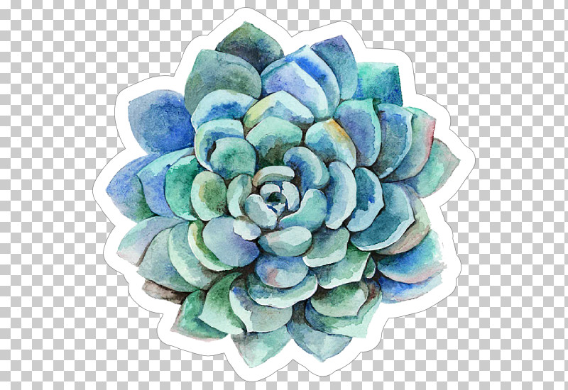 Echeveria Flower Plant Turquoise Watercolor Paint PNG, Clipart, Echeveria, Flower, Hydrangea, Petal, Plant Free PNG Download