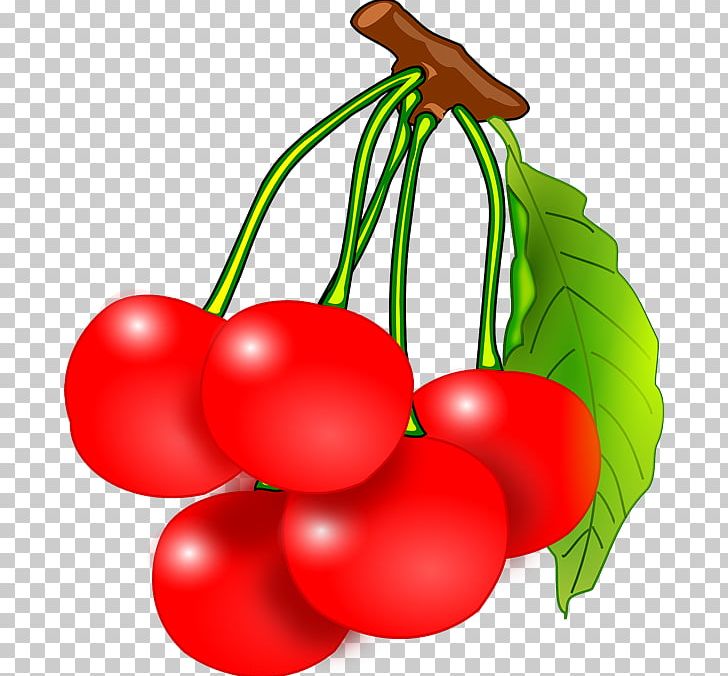 Fruit Cherry Free Content PNG, Clipart, Apple, Branch, Bunch Cliparts, Cherry, Drawing Free PNG Download