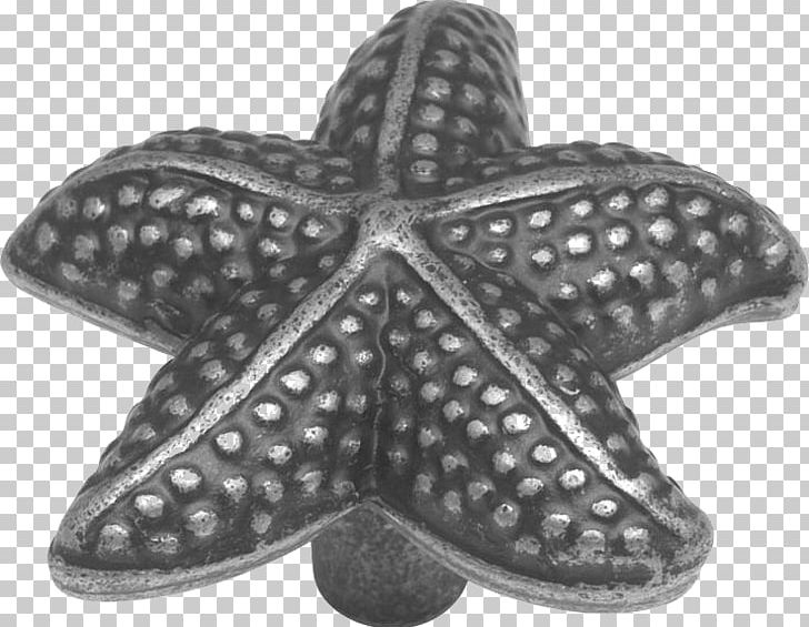Starfish Drawer Pull Pewter Cabinetry PNG, Clipart,  Free PNG Download