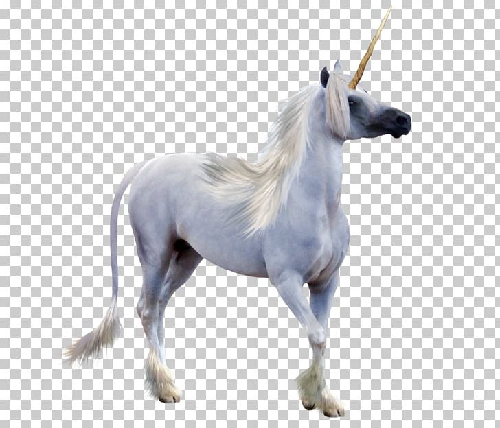 Winged Unicorn Pegasus Unicorn Horn PNG, Clipart, Desktop Wallpaper, Deviantart, Fantasy, Fictional Character, Horse Free PNG Download