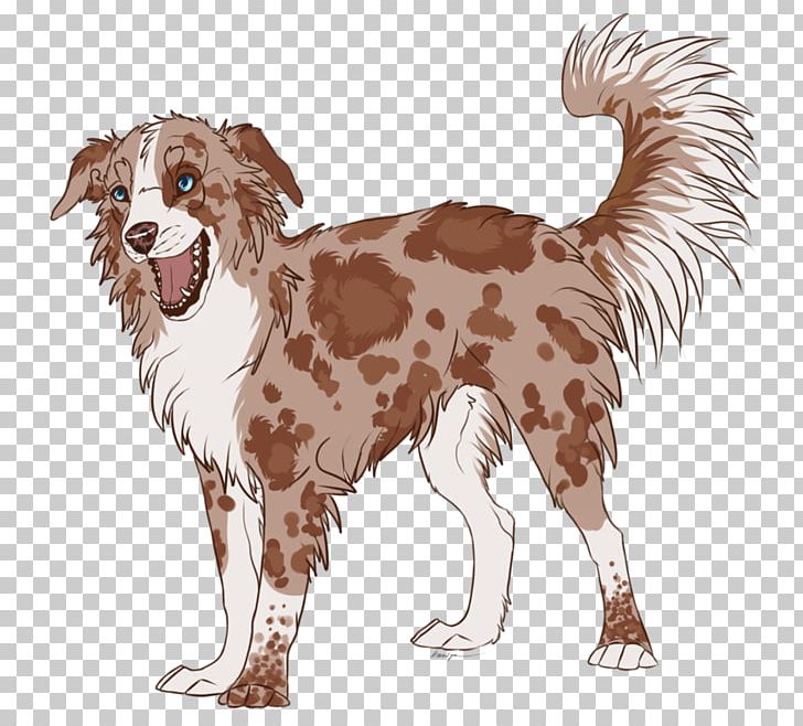 Australian Shepherd German Shepherd Rough Collie Border Collie Pembroke Welsh Corgi PNG, Clipart, Alaskan Malamute, Animal, Animals, Border Collie, Carnivoran Free PNG Download