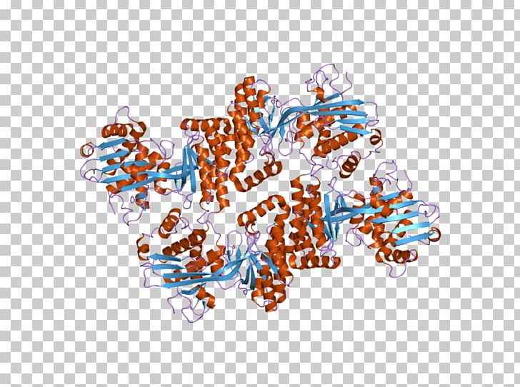 Mevalonate Kinase Mevalonate Pathway Mevalonic Acid Protein PNG, Clipart, Art, Ebi, Enzyme, Enzyme Commission Number, Gene Free PNG Download