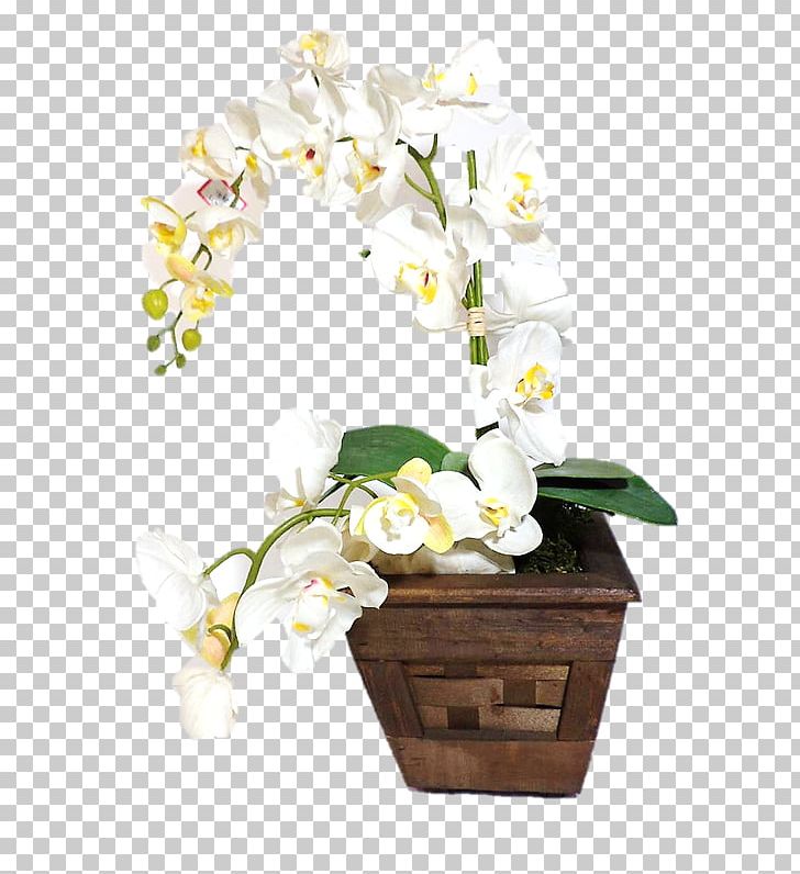 Vase Flowerpot Orchids Cut Flowers PNG, Clipart, Artificial Flower, Blossom, Branch, Ceramic, Cut Flowers Free PNG Download