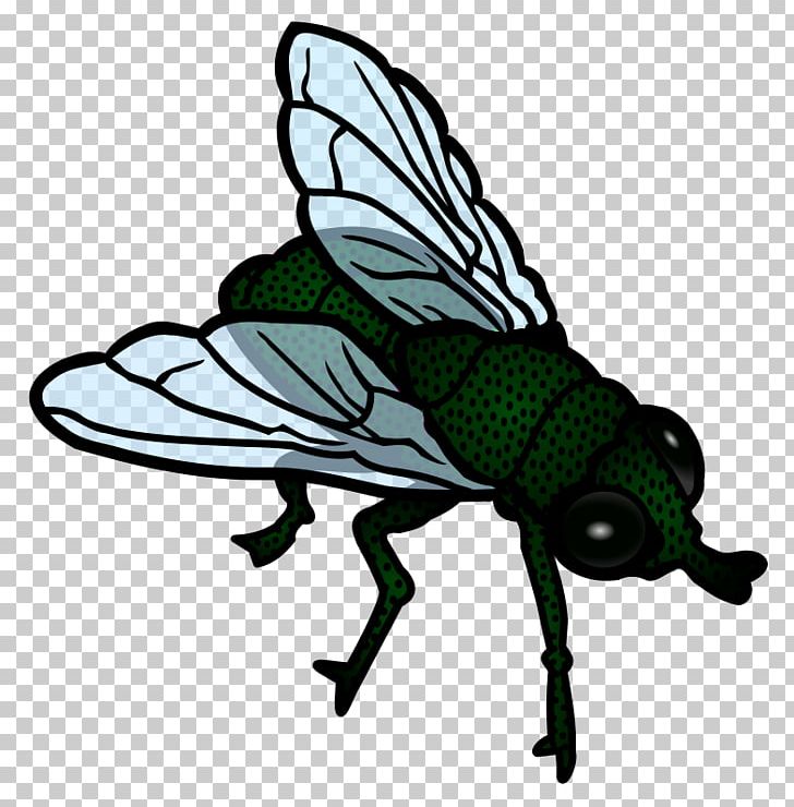 Fly Pterygota PNG, Clipart, Arthropod, Blog, Fly, Flykilling Device, Free Content Free PNG Download