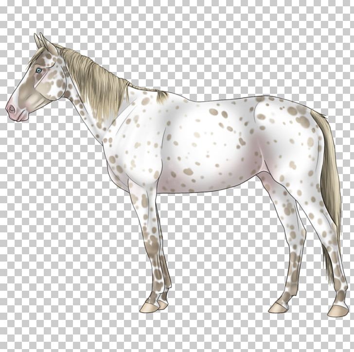 Mane Mustang Stallion Pony Mare PNG, Clipart, Animal Figure, Appaloosa, Bridle, Chara, Halter Free PNG Download
