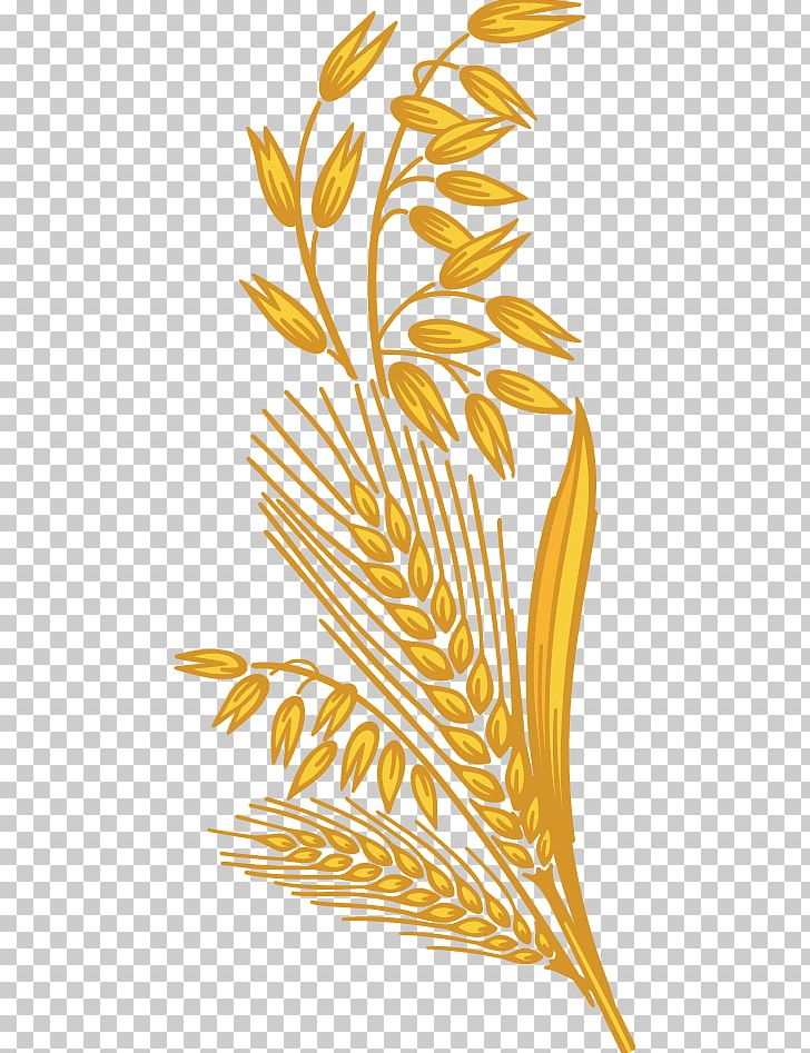 Whole Grain Cereal Harvest PNG, Clipart, Bread, Cereal, Cereal Germ, Commodity, Enriched Flour Free PNG Download