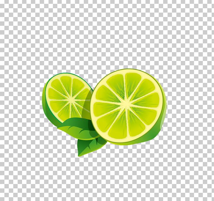 Lime Lemon Icon PNG, Clipart, Adobe Illustrator, Citric Acid, Citrus, Download, Encapsulated Postscript Free PNG Download