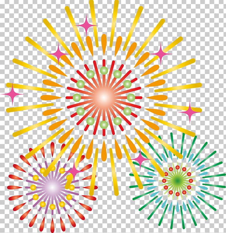Sumidagawa Fireworks Festival Photography Japan PNG, Clipart, Circle, Download, Evenement, Festival, Fireworks Free PNG Download