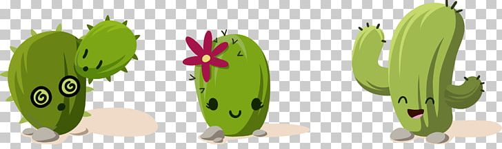 Cactaceae Drawing Succulent Plant PNG, Clipart, Balloon Cartoon, Boy Cartoon, Cactus, Cactus Vector, Car Free PNG Download