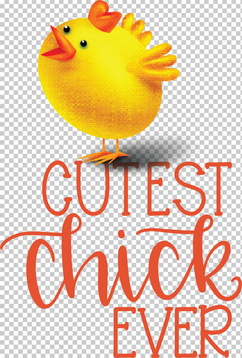 Chicken Landfowl Beak Happiness Chicken PNG, Clipart, Beak, Chicken, Happiness, Landfowl, Meter Free PNG Download