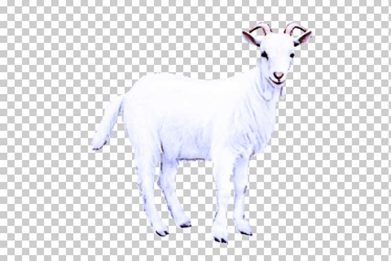 Goat Mountain Goat Sheep Animal Figurine PNG, Clipart, Animal Figurine, Biology, Childrens Film, Family, Goat Free PNG Download