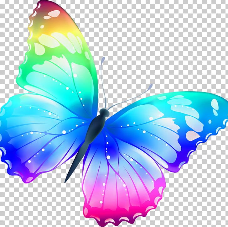 Butterfly Color PNG, Clipart, 3d Computer Graphics, Aqua, Blue, Brush Footed Butterfly, Buterfly Free PNG Download