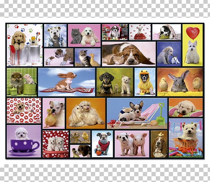 Collage Don Juego Y Don Puzzle S.L. Jigsaw Puzzles Photomontage Text PNG, Clipart, Animal, Art, Collage, Game, Jigsaw Puzzles Free PNG Download