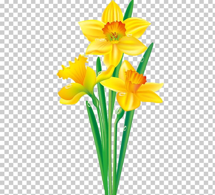 Daffodil Flower Drawing PNG, Clipart, Amaryllis Family, Border, Border Frame, Certificate Border, Encapsulated Postscript Free PNG Download