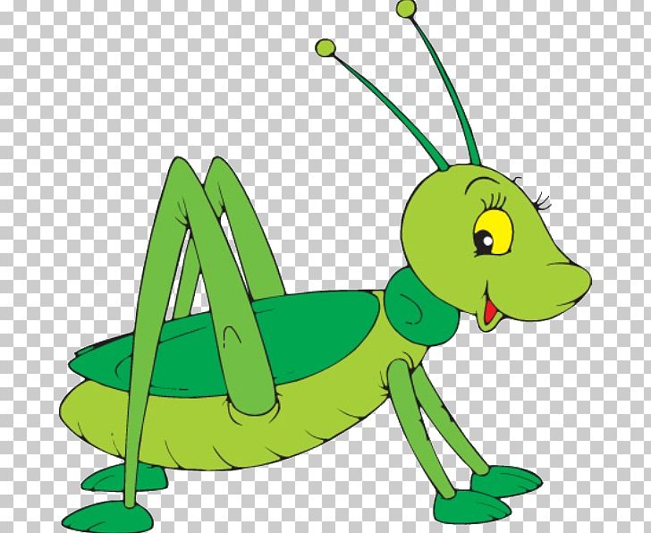 Grasshopper Cartoon PNG, Clipart, Amphibian, Art, Cartoon Arms, Cartoon Character, Cartoon Eyes Free PNG Download