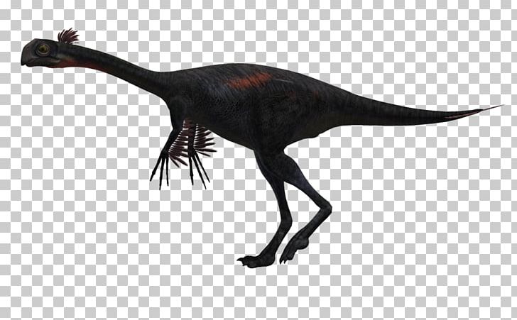 Tyrannosaurus Spinosaurus Velociraptor Troodon Dinosaur PNG, Clipart, Ankylosaurus, Beak, Bird, Chinese Dragon, Claw Free PNG Download