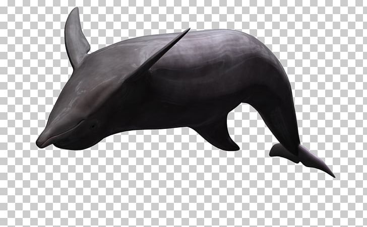 Dolphin Animal Animation PNG, Clipart, 3d Cartoon Animals, 3d Computer Graphics, Animal, Animals, Balloon Cartoon Free PNG Download