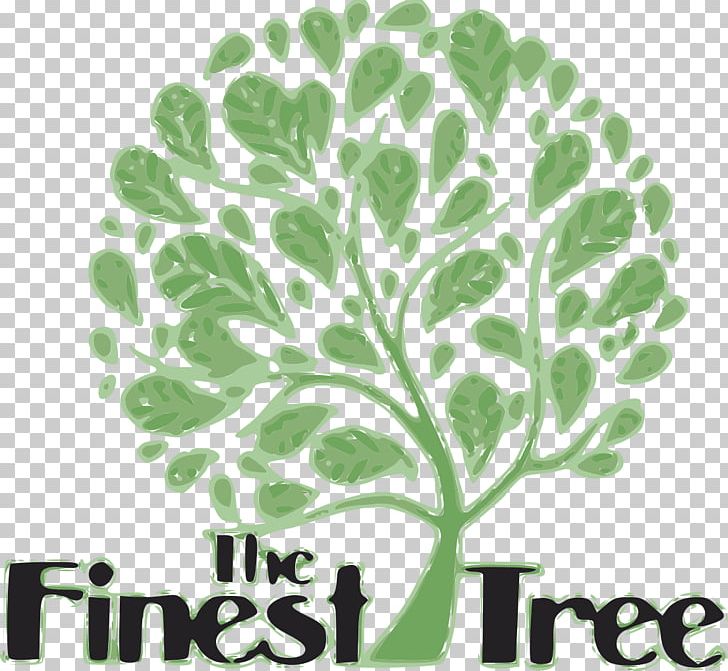 Graphics Logo Tree Celebrant Graphic Design PNG, Clipart, Art, Branch, Celebrant, Ceremony, Fine Free PNG Download