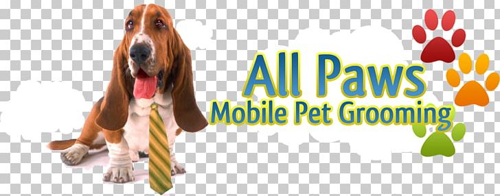 Dog Breed Beagle Puppy Basset Hound Poodle PNG, Clipart, Animals, Basset Hound, Beagle, Bloodhound, Canidae Free PNG Download