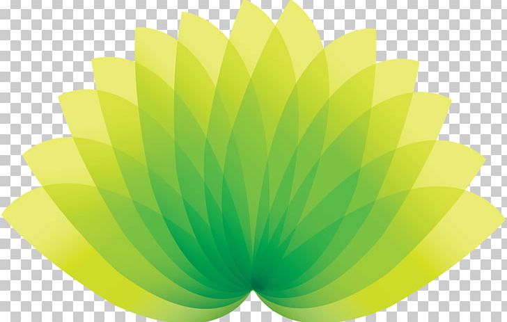 Leaf Shape Green Petal PNG, Clipart, Activation, Audacity, Brand, Brand Name, Color Free PNG Download