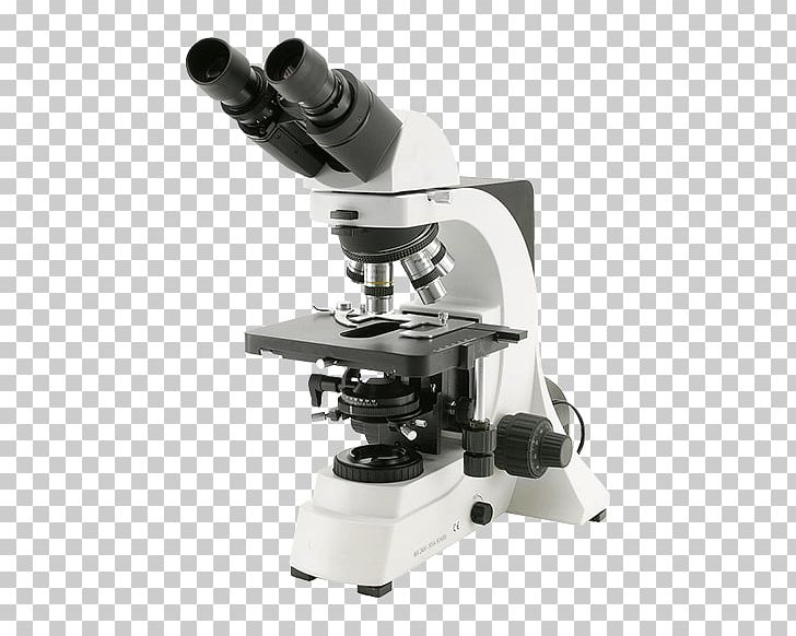 Optical Microscope Optics Phase Contrast Microscopy Laboratory PNG, Clipart, Achromatic Lens, Angle, Laboratory, Microscope, Objective Free PNG Download