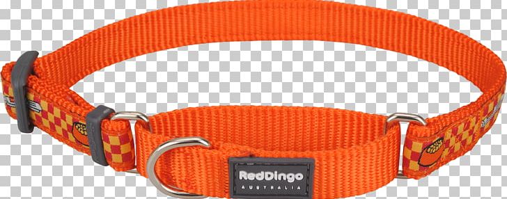 Dingo Longdog Dog Collar Martingale PNG, Clipart, Animals, Cat, Collar, Dingo, Dog Free PNG Download