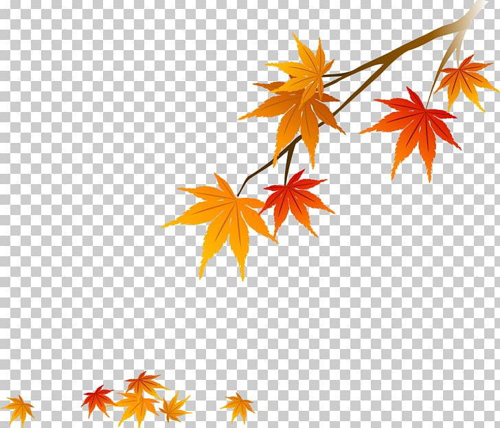 Red Maple Maple Leaf PNG, Clipart, Autumn Leaf Color, Autumn Leaves, Branch, Computer Wallpaper, Download Free PNG Download