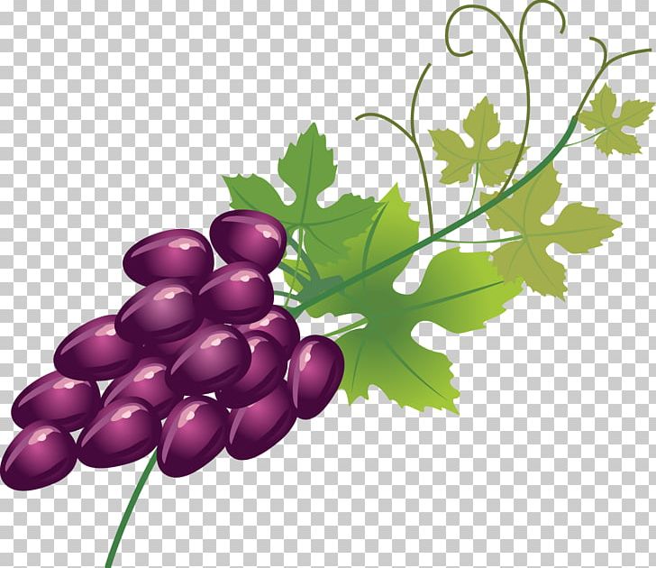 Wine Fruitcake Grape Berry PNG, Clipart, Auglis, Berry, Branch, Decorative, Decorative Pattern Free PNG Download