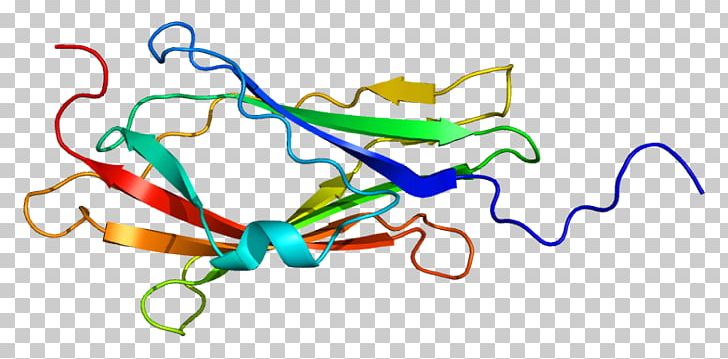 ARHGDIA RHO Protein GDP Dissociation Inhibitor Cdc42 Gene PNG, Clipart, Area, Arhgdia, Artwork, Cdc42, Gene Free PNG Download