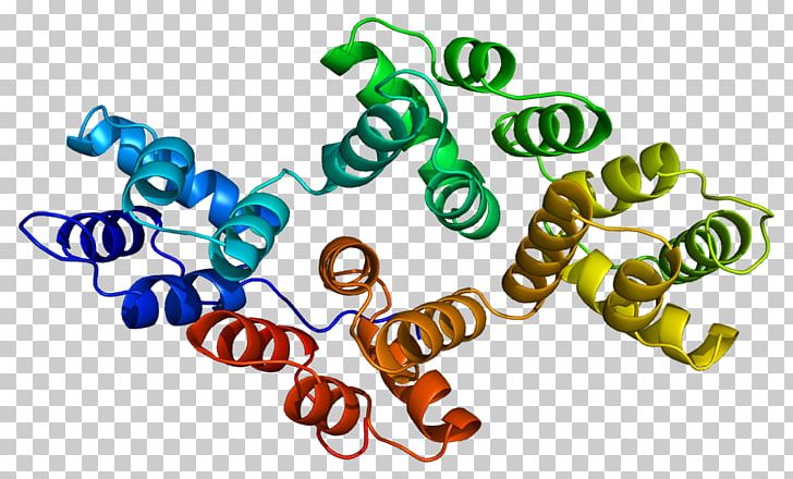 Annexin A2 Annexin A3 Annexin A5 Phospholipase A2 PNG, Clipart, 1 A, 8 A, Annexin A5, Area, Body Jewelry Free PNG Download