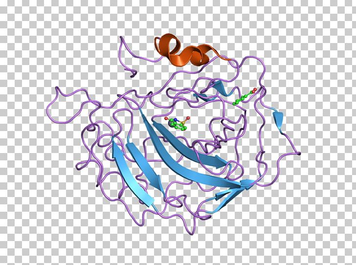 CORO1A Coronin Mitochondrial Apoptosis-induced Channel PNG, Clipart, Animal, Apoptosis, Area, Art, Artwork Free PNG Download