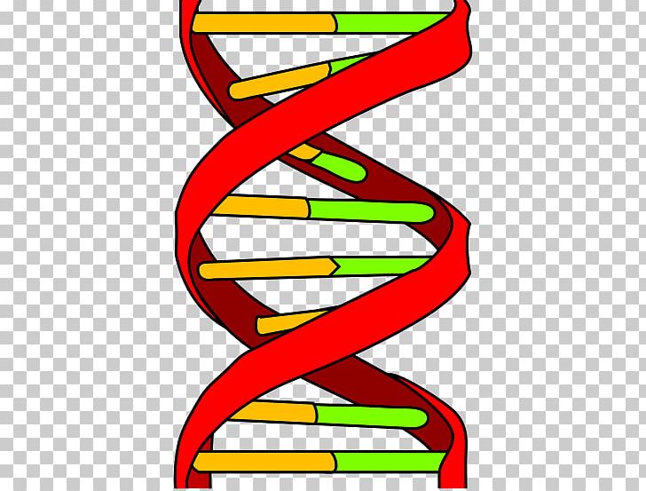 DNA Profiling Computer Icons Genetics Genetic Testing PNG, Clipart, Area, Artwork, Biology, Cell, Computer Icons Free PNG Download