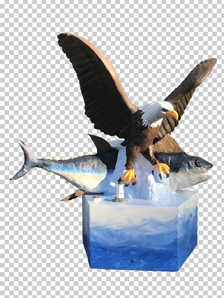 Sea Eagle Chunky's Cinema Pub Water Bird PNG, Clipart, Chunky, Cinema, Pub, Sea Eagle, Water Bird Free PNG Download
