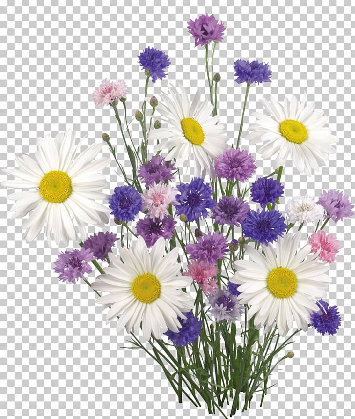 Butterfly Gardening Flower PNG, Clipart, Annual Plant, Artificial Flower, Aster, Butterfly, Butterfly Gardening Free PNG Download