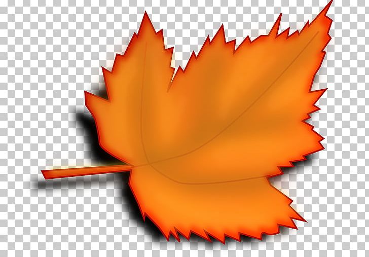 Autumn Leaf Color Desktop PNG, Clipart, Autumn, Autumn Leaf Color, Computer Icons, Desktop Wallpaper, Flower Free PNG Download