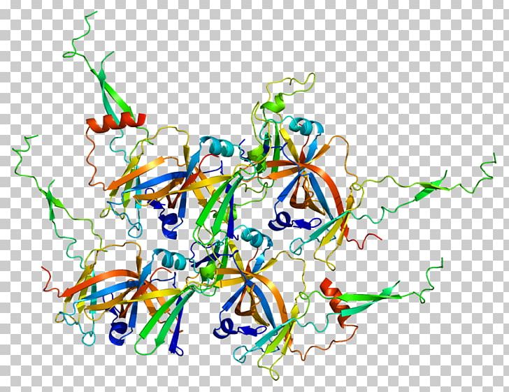 GTF2F1 Transcription Factor II F Transcription Factor II B Gene POLR2A PNG, Clipart, Area, Artwork, Branch, Crebbinding Protein, Gene Free PNG Download