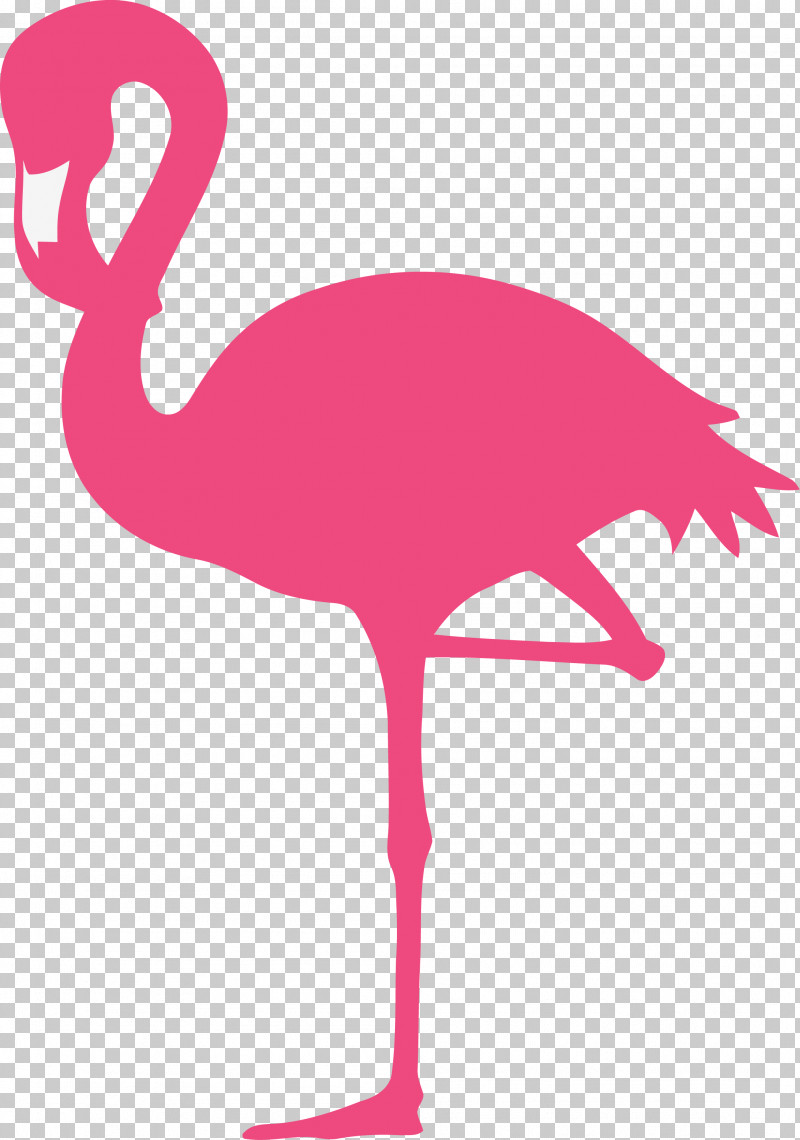 Flamingo PNG, Clipart, Beak, Bird, Flamingo, Flightless Bird, Greater Flamingo Free PNG Download