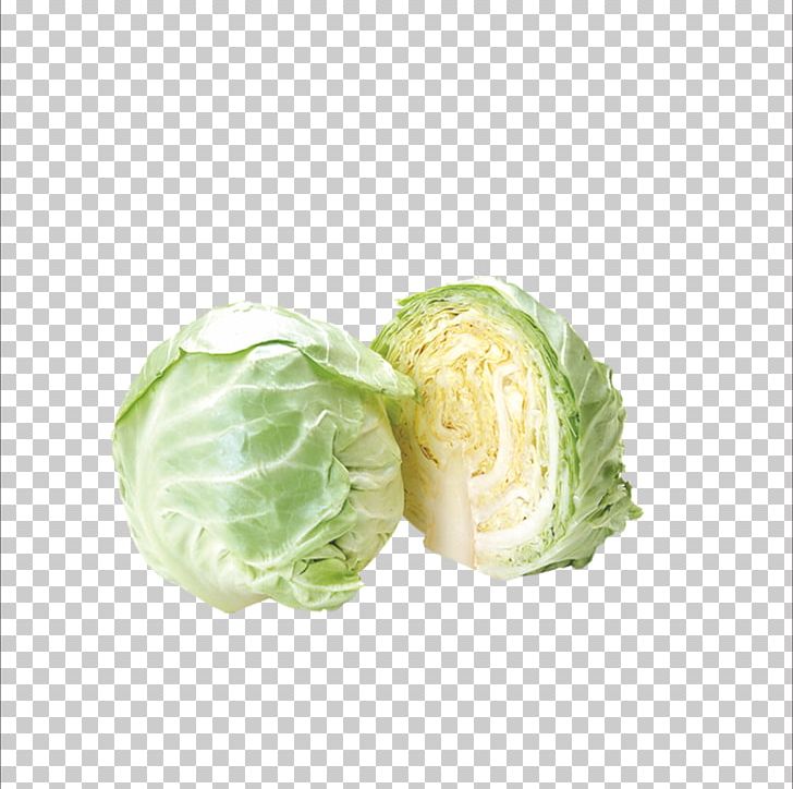Cabbage Vegetable Food Diet Health PNG, Clipart, Broccoli, Cabbage, Cabbage Soup Diet, Carbohydrate, Creative Free PNG Download