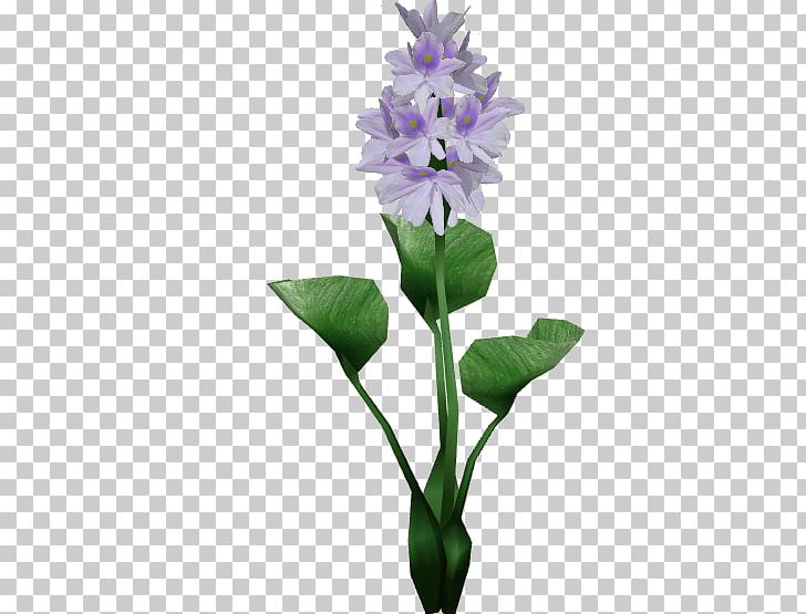 Hyacinthus Orientalis Egyptian Lotus Flower Common Water Hyacinth Plant PNG, Clipart, Aquatic Plants, Common Water Hyacinth, Cut Flowers, Egyptian, Egyptian Lotus Free PNG Download