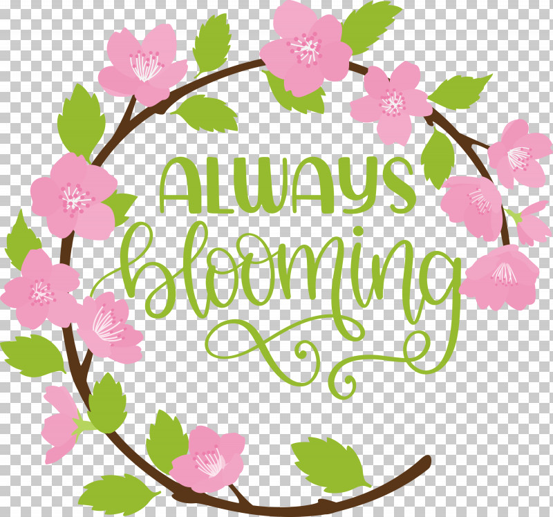 Always Blooming Spring Blooming PNG, Clipart, Blooming, Cut Flowers, Flora, Floral Design, Flower Free PNG Download
