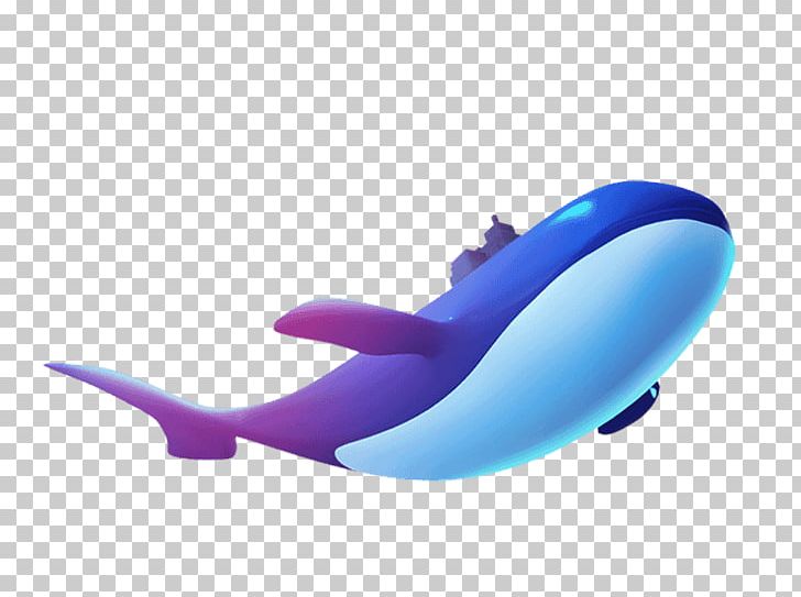 Dolphin Web Design Whale Icon PNG, Clipart, Animals, Aquatic, Aquatic Creatures, Blue, Blue Free PNG Download