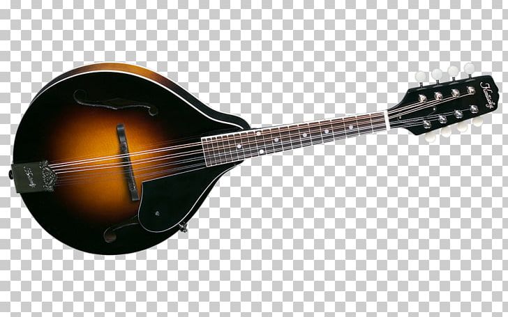 Mandolin Banjo Guitar Acoustic Guitar Tiple Acoustic-electric Guitar PNG, Clipart, Acoustic Electric Guitar, Acoustic Guitar, Cuatro, Guitar Accessory, Lute Free PNG Download