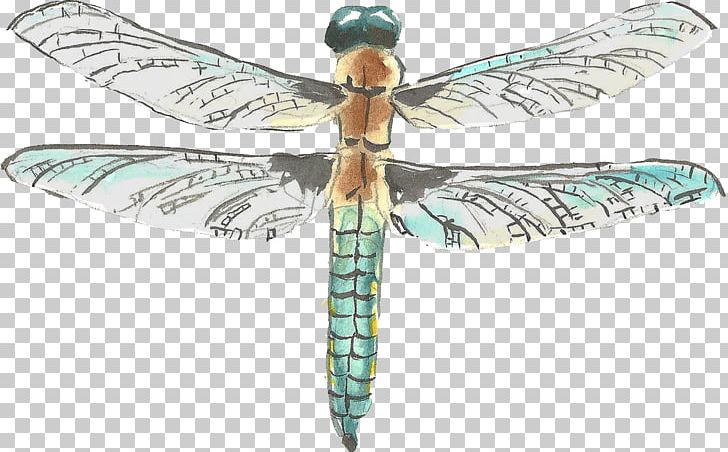 Watercolor Painting Drawing PNG, Clipart, Cartoon, Dragonflies And Damseflies, Encapsulated Postscript, Hand Painted, Insect Free PNG Download