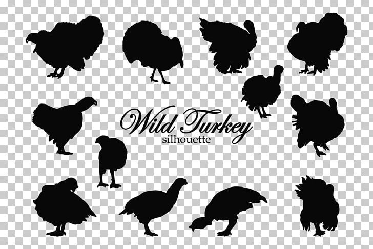 Black Turkey Silhouette Rooster PNG, Clipart, Beak, Bird, Black And White, Black Turkey, Cartoon Free PNG Download