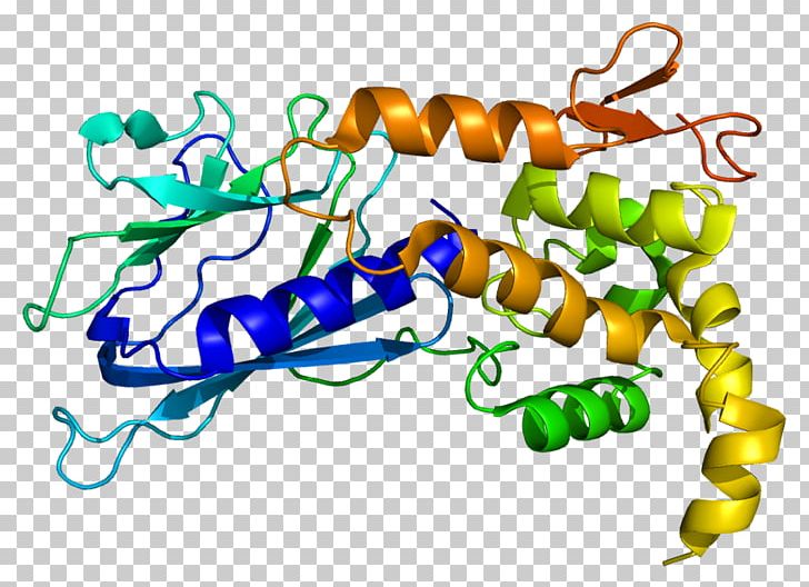 NEIL1 DNA Glycosylase Base Excision Repair Protein Gene PNG, Clipart, 8oxoguanine, Area, Artwork, Base Excision Repair, Dna Free PNG Download