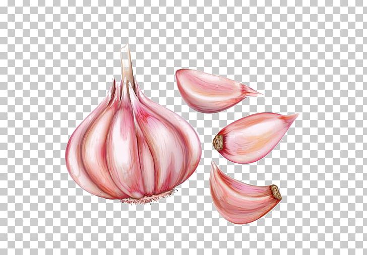 Garlic Bread Watercolor Painting PNG, Clipart, Drawing, Euclidean Vector, Garlic, Hand Painted, Ink Free PNG Download