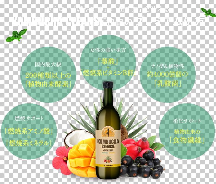 Kombucha Liqueur Smoothie Drink Dieting PNG, Clipart, Bottle, Dieting, Distilled Beverage, Drink, Entertainer Free PNG Download