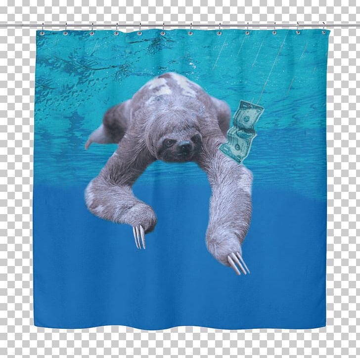 Sloth Douchegordijn T-shirt Curtain Bathroom PNG, Clipart, Animal, Aqua, Bathroom, Blue, Clothing Free PNG Download