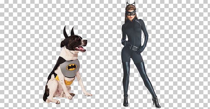 Batman Batgirl Catwoman T-shirt Robin PNG, Clipart, Argo, Batgirl, Batman, Carnivoran, Cat Free PNG Download