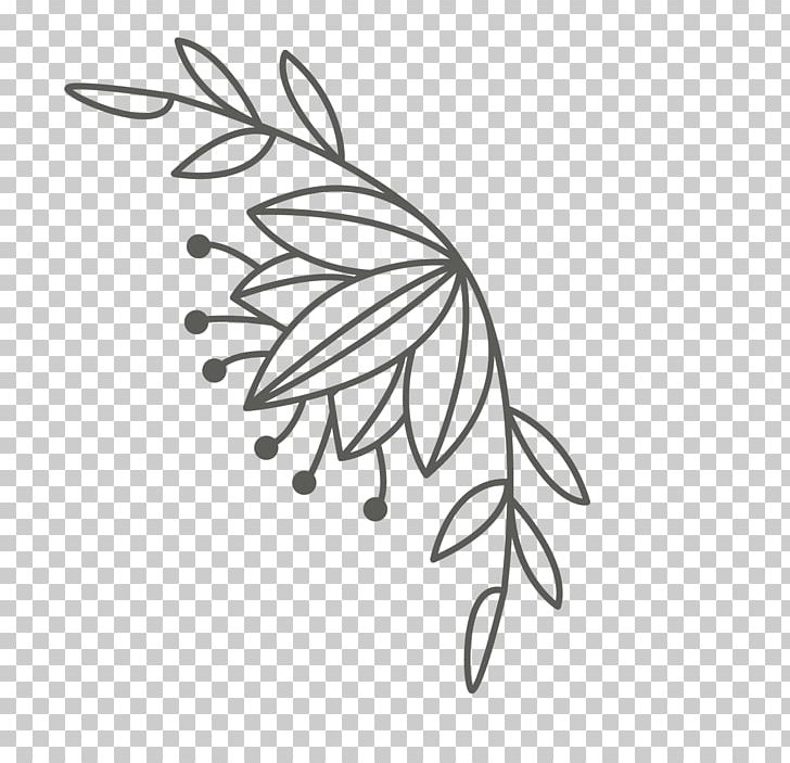 Lovebird Plant Stem PNG, Clipart, Area, Art, Black And White, Branch, Drawing Free PNG Download
